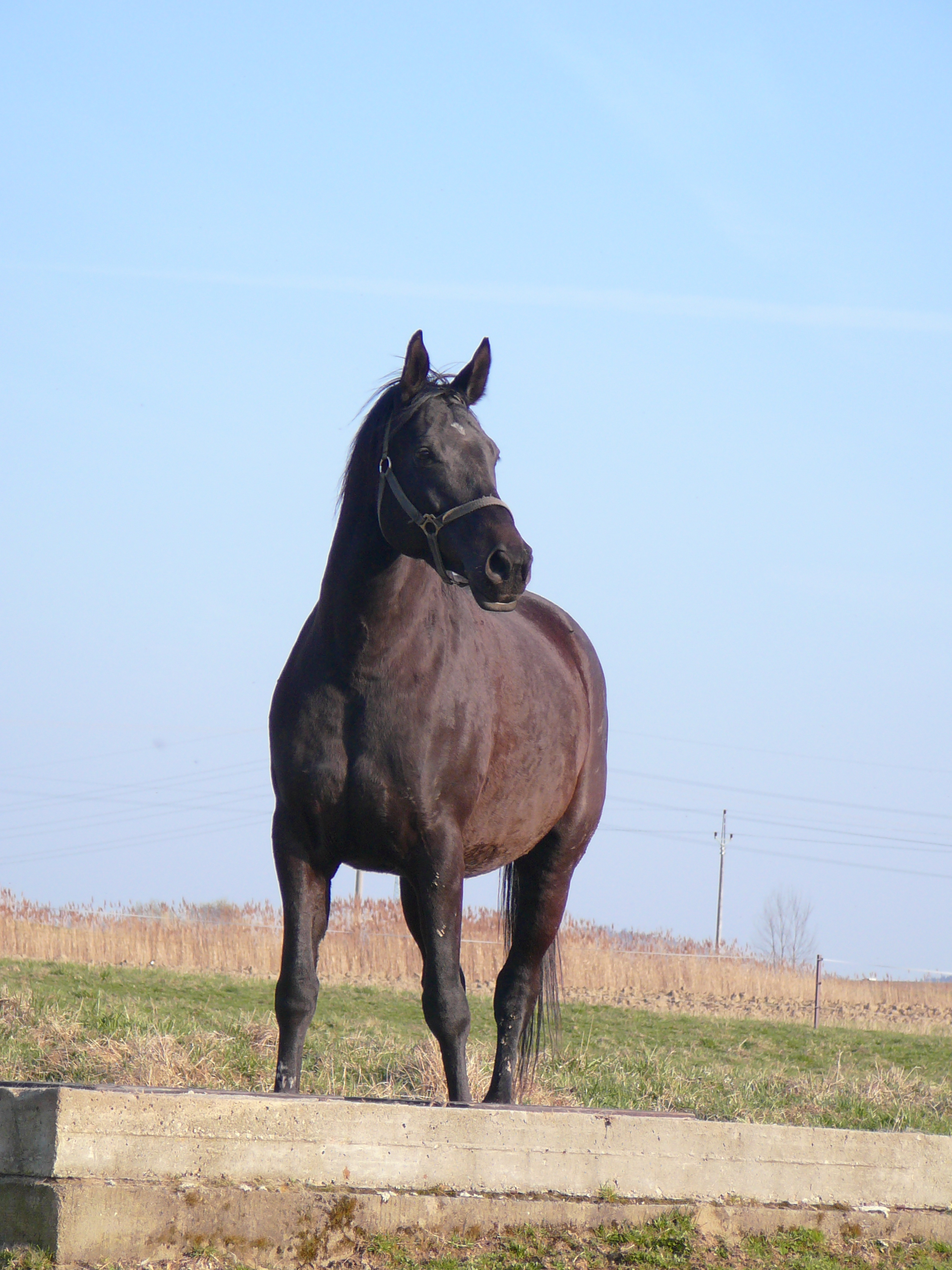 Snímek 095.jpg
